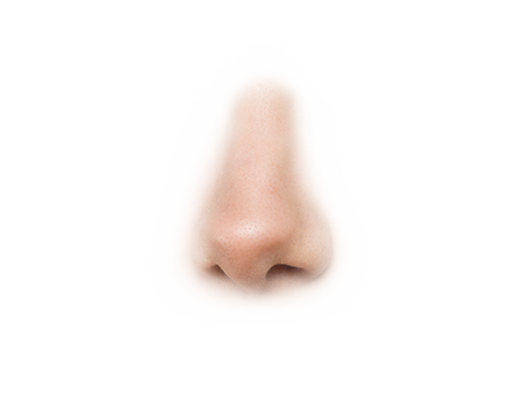 Nasenloch